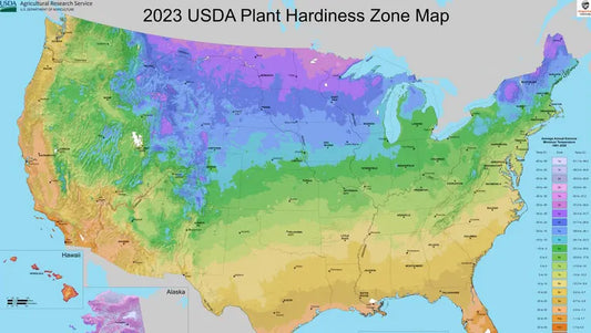 Navigating Plant Hardiness Zones: Your Guide to a Thriving Garden