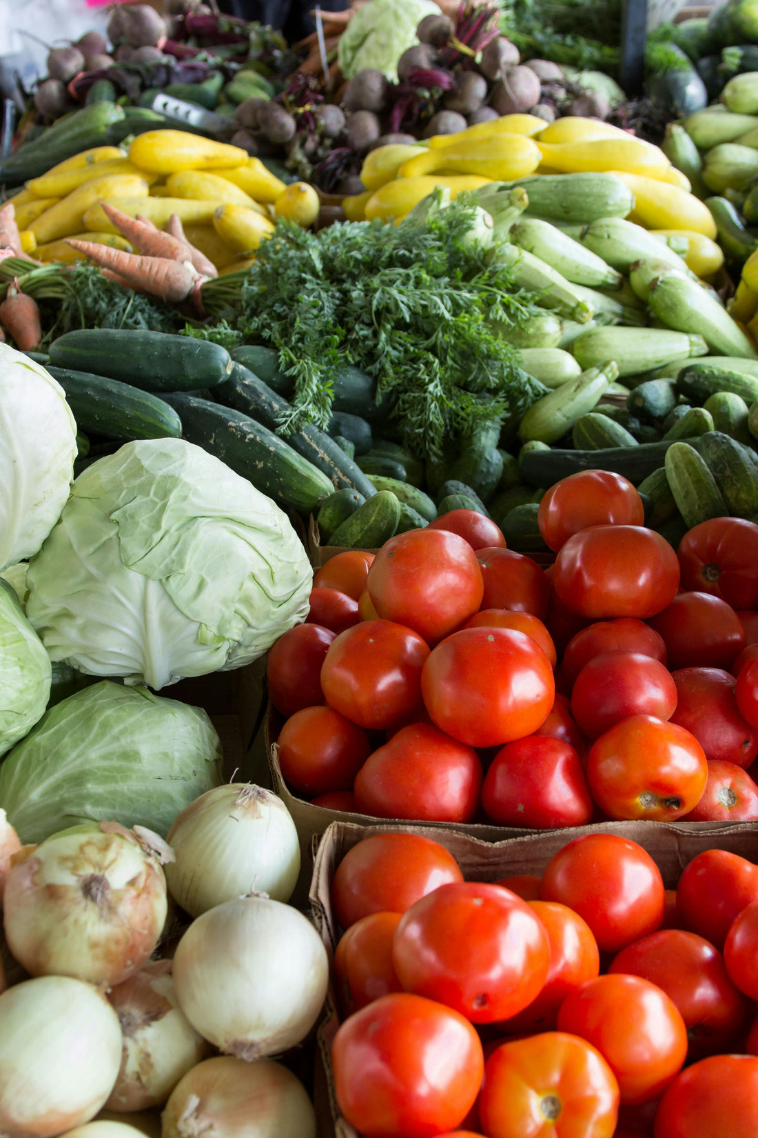 A vibrant picture of garden vegetables grown from seed at Love and Vegtables.