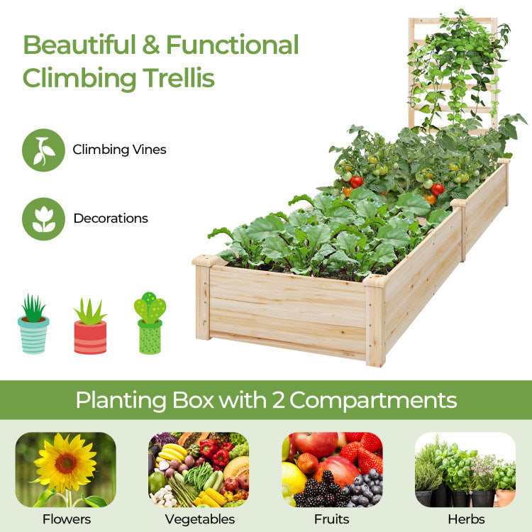 Raised Garden Bed with Planter Box and Trellis