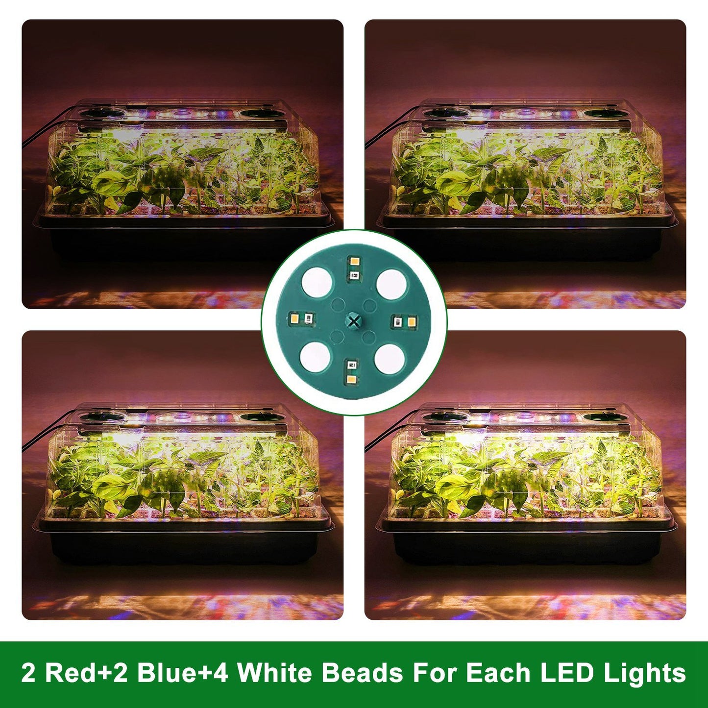 Seed Starter Tray with Grow Light, Automatic Timing, and Humidity Dome