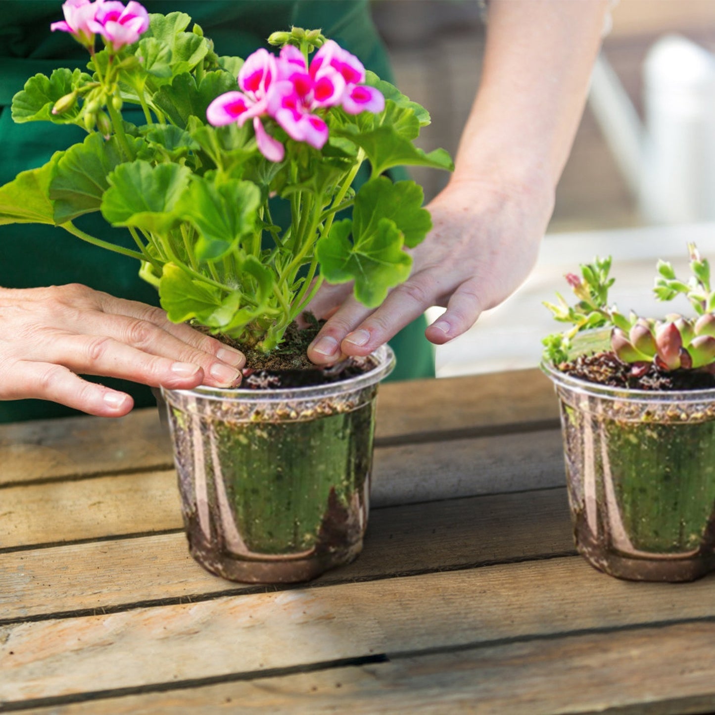 Optimize Your Seed Starting with 30Pcs Plant Nursery Pots