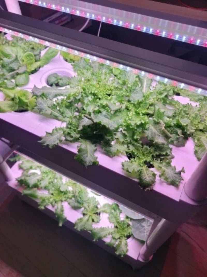 3-Tier Hydroponics Growing System: Cultivate a Bountiful Indoor Garden with 42 Pods and 6 Grow Lights