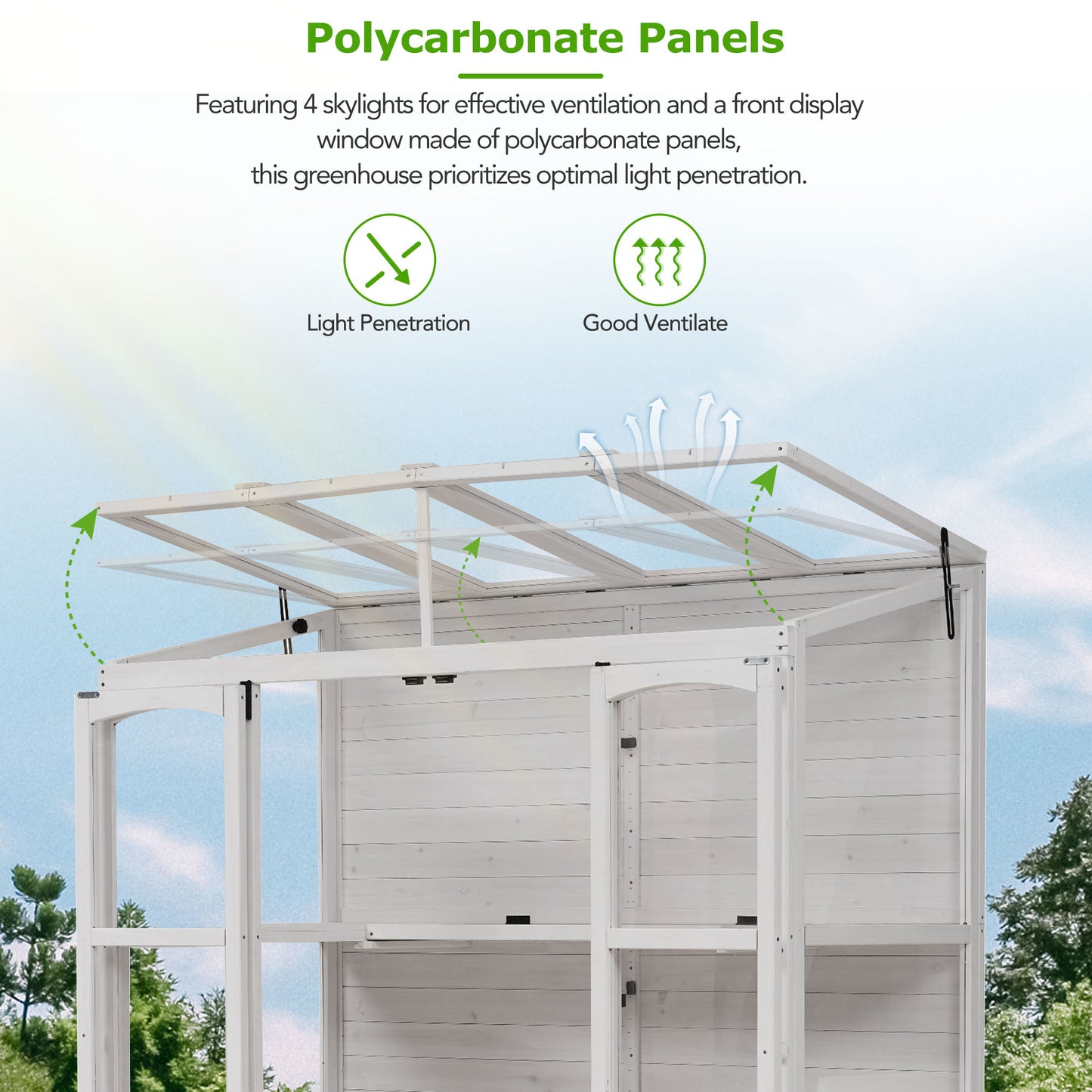 TOPMAX 78-inch Wooden Greenhouse Cold Frame with 4 Independent Skylights and 2 Folding Middle Shelves, Walk-in Outdoor Greenhouse, White