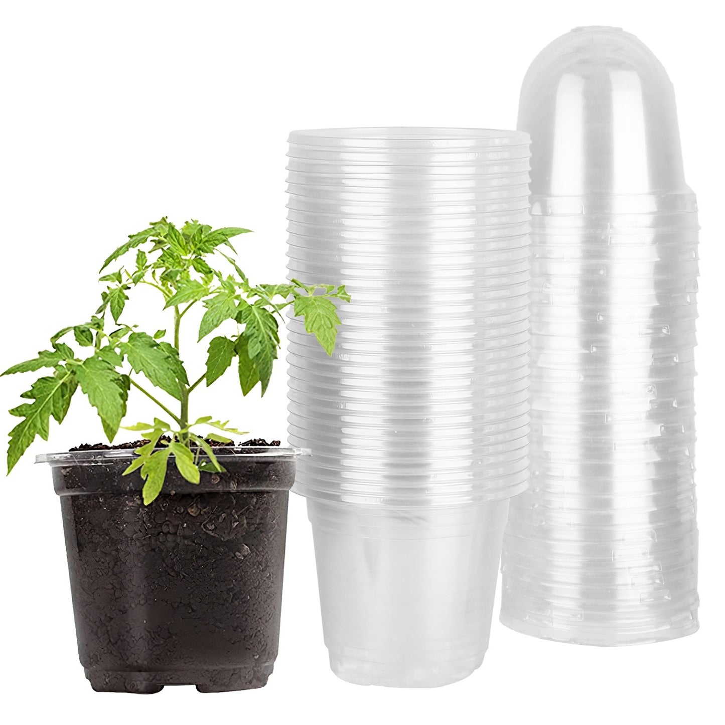 Optimize Your Seed Starting with 30Pcs Plant Nursery Pots