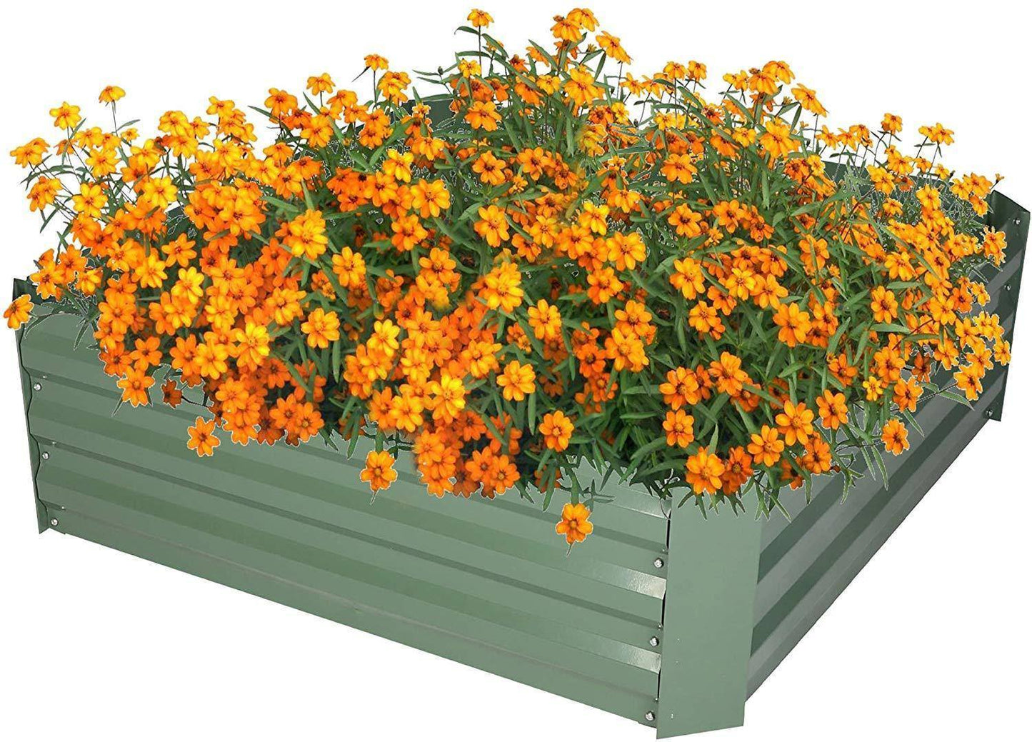 Raised Garden Bed Steel Planter Box Galvanized Anti-Rust Coating Planting Vegetables Herbs and Flowers for Outdoor