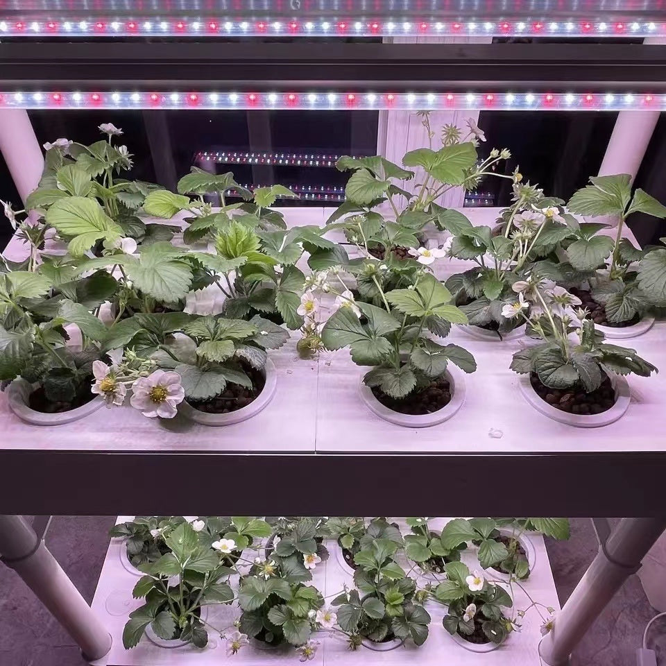 3-Tier Hydroponics Growing System: Cultivate a Bountiful Indoor Garden with 42 Pods and 6 Grow Lights