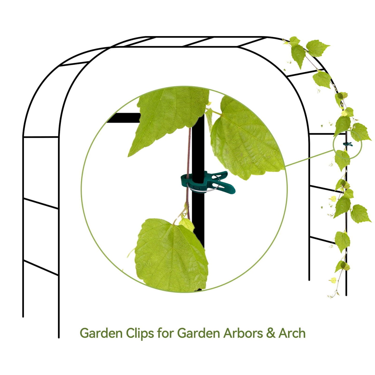 Garden Clips for Climbing Plants