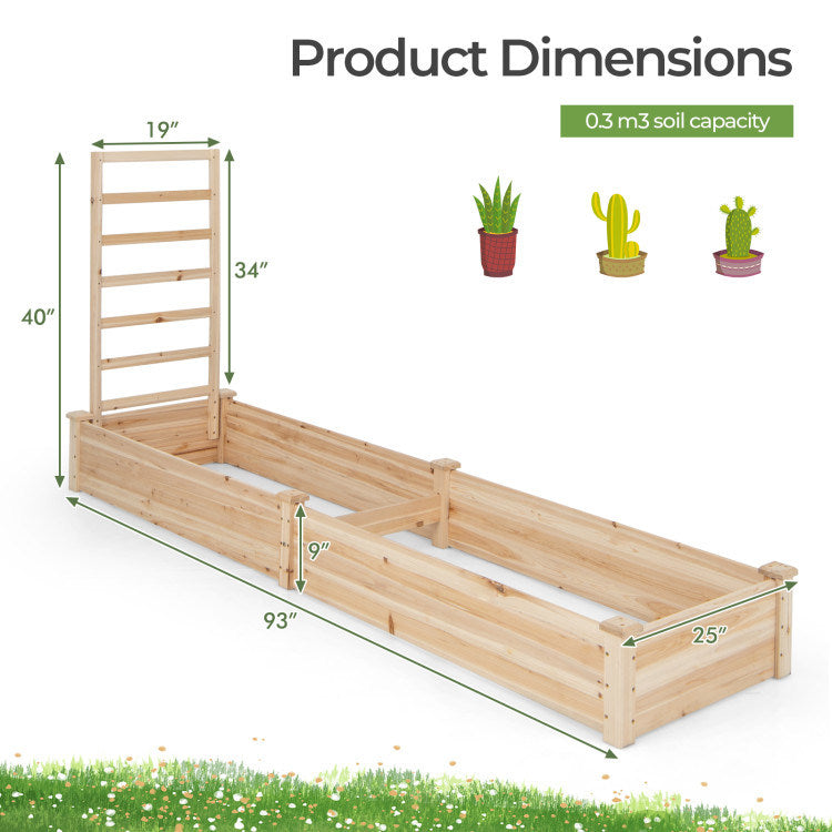 Raised Garden Bed with Planter Box and Trellis