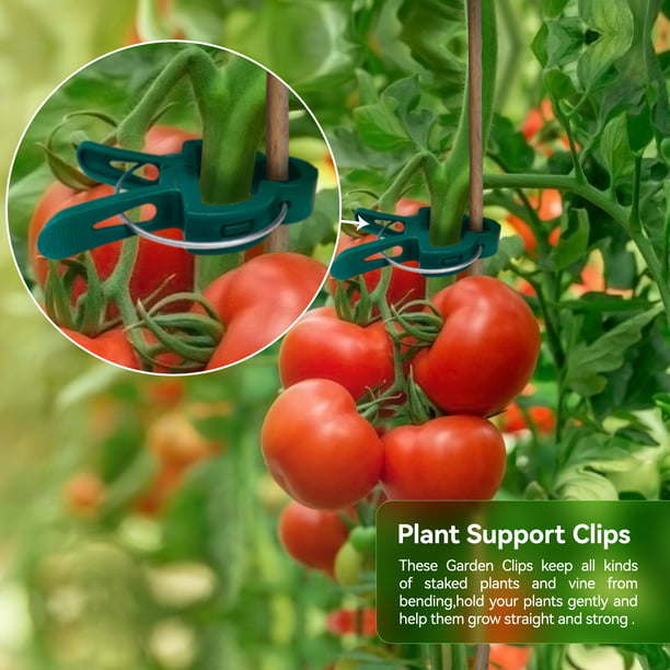 Garden Clips for Climbing Plants