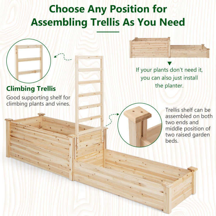 Raised Garden Bed with Trellis