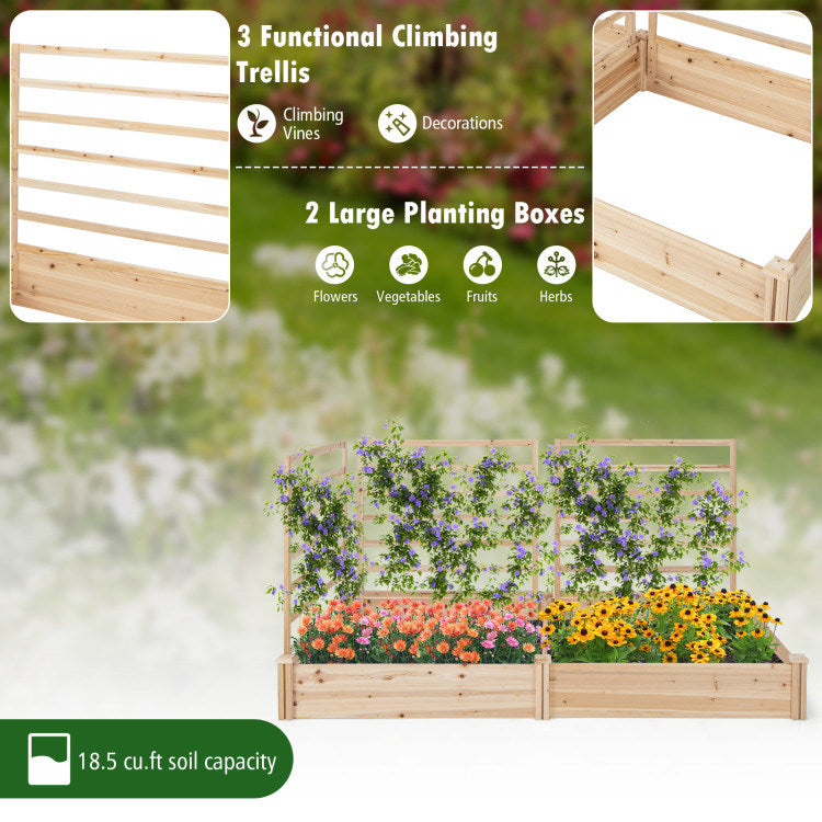 Raised Garden Bed with 2 Planter Boxes and 3 Trellis