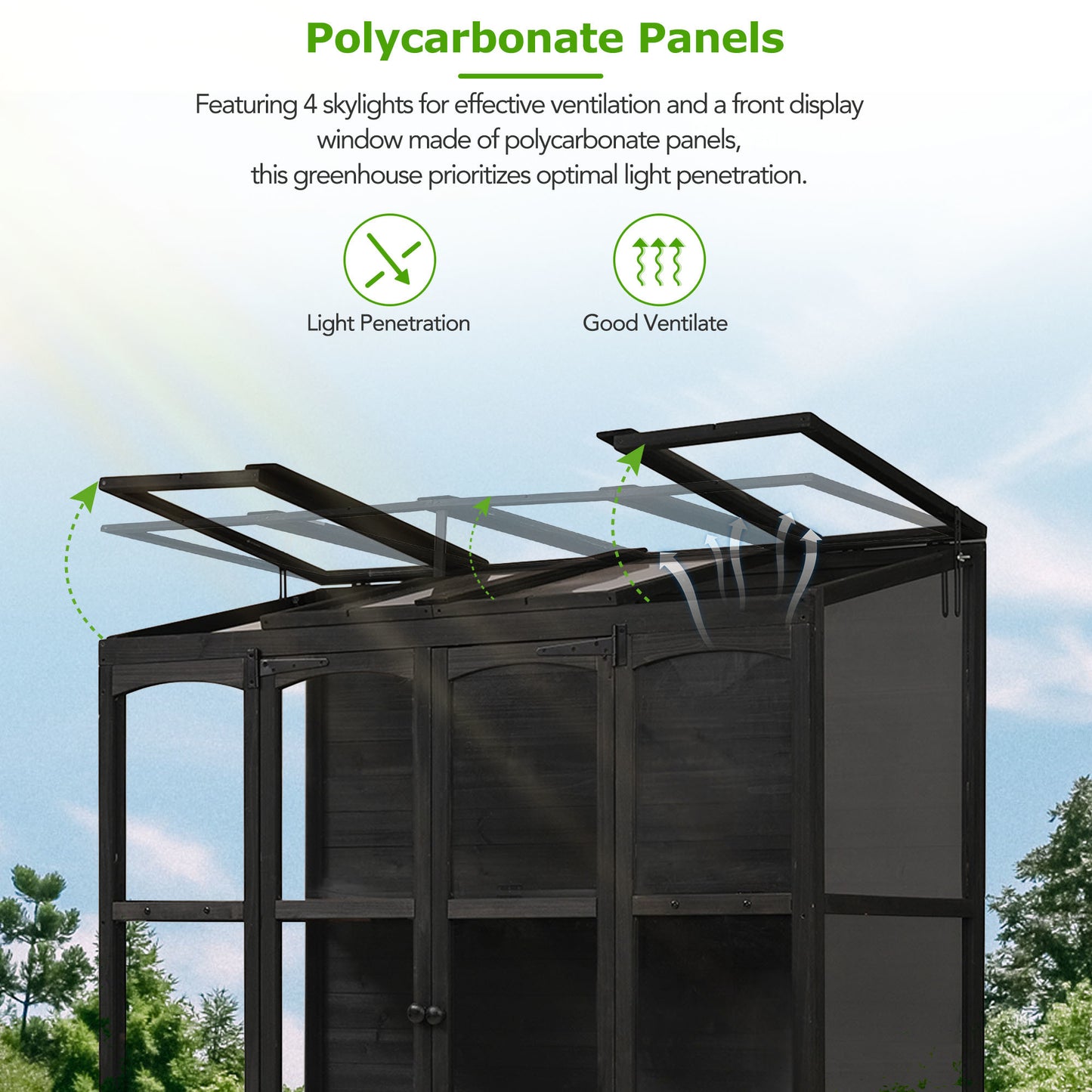 TOPMAX 78-inch Wooden Greenhouse Cold Frame with 4 Independent Skylights and 2 Folding Middle Shelves, Walk-in Outdoor Greenhouse, Black