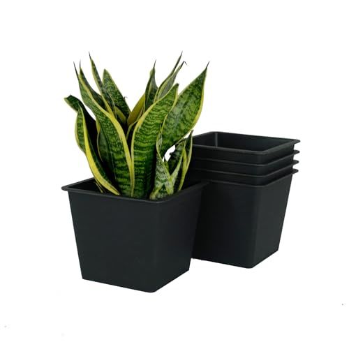 5" Square Nursery Plant Pot - Garden Plastic Pots with Drainage (5-Pack)