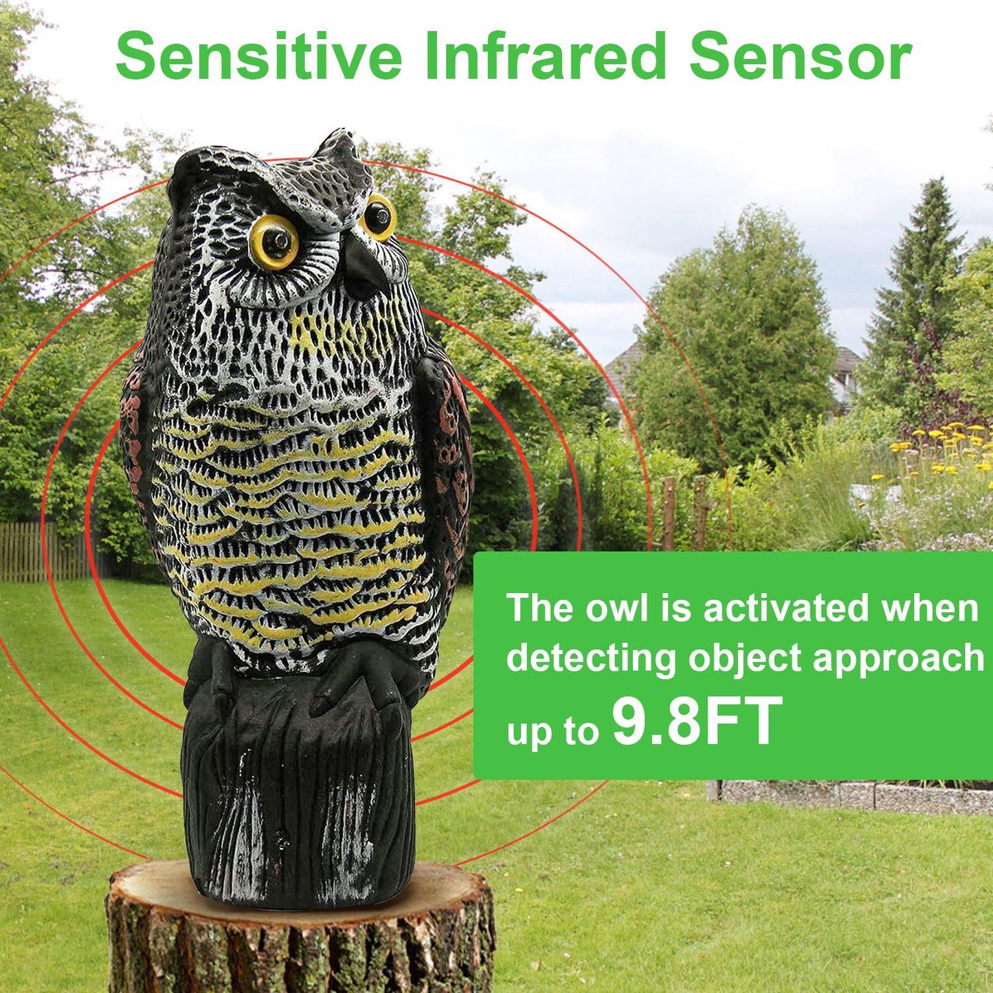 Solar Powered Owl Decoy with Flashing Eye Hoot Sound