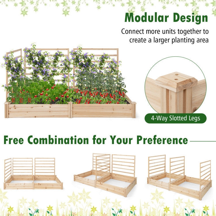 Raised Garden Bed with 2 Planter Boxes and 3 Trellis