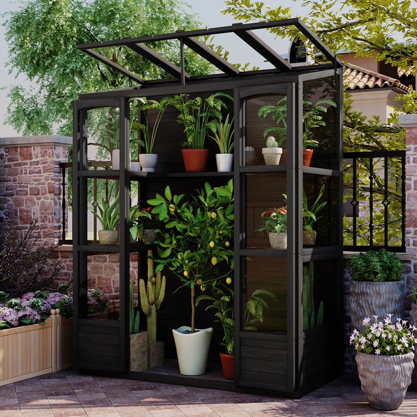 TOPMAX 78-inch Wooden Greenhouse Cold Frame with 4 Independent Skylights and 2 Folding Middle Shelves, Walk-in Outdoor Greenhouse, Black